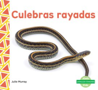 Culebras_rayadas__Garter_Snakes_