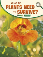What_Do_Plants_Need_to_Survive_