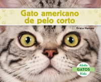 Gato_Americano_De_Pelo_Corto