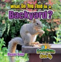 What_do_you_find_in_a_backyard_