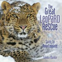 The_great_leopard_rescue