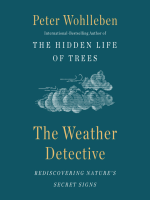 The_weather_detective