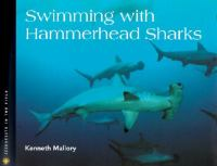 Swimming_with_hammerhead_sharks