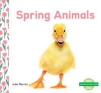 Spring_Animals