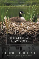 The_Geese_of_Beaver_Bog