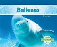 Ballenas___Whales_
