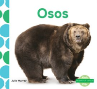 Osos__Bears_