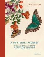 A_butterfly_journey
