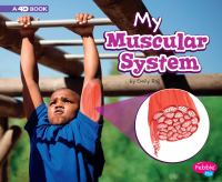 My_muscular_system
