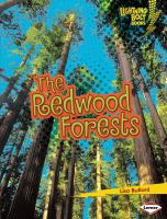 The_redwood_forests