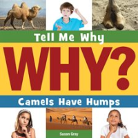 Camels_Have_Humps