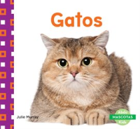Gatos__Cats_