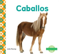 Caballos__Horses_