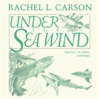 Under_the_Sea_Wind