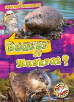 Beaver_or_muskrat_