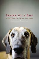 Inside_of_a_dog
