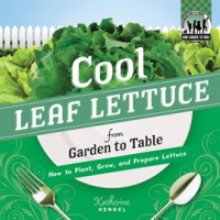 Cool_Leaf_Lettuce_from_Garden_to_Table