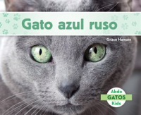 Gato_Azul_Ruso