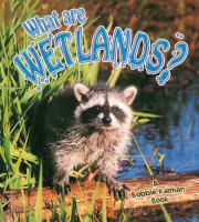 What_are_wetlands_
