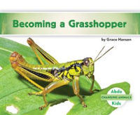 Becoming_a_Grasshopper_Set_1