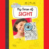 My_Sense_of_Sight