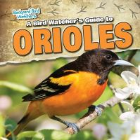 A_bird_watcher_s_guide_to_orioles