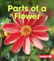 Parts_of_a_Flower