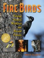 Fire_birds