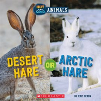 Desert_Hare_or_Arctic_Hare