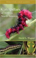 Caterpillars_of_Eastern_North_America