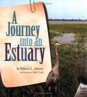 A_journey_into_an_estuary