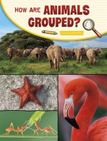 How_Are_Animals_Grouped_