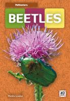 Beetles
